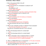 Review Sheet Cell Division Answers