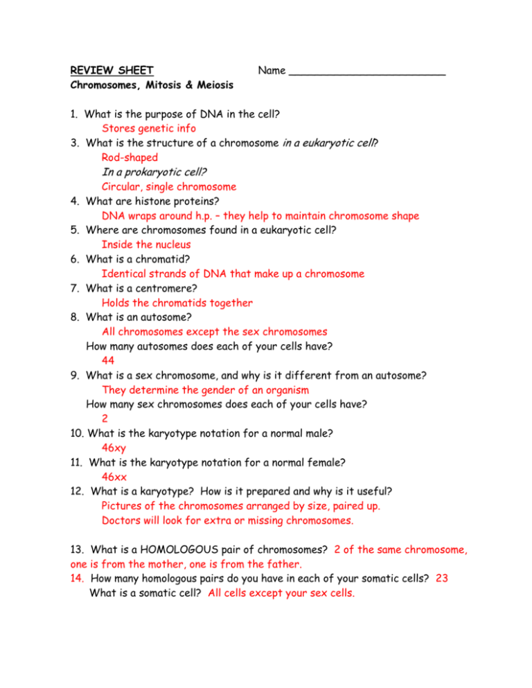 Review Sheet Cell Division Answers