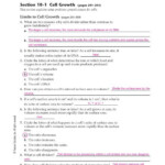 Section 10 2 Cell Division Answer Key