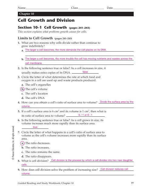 Section 10 2 Cell Division Answer Key